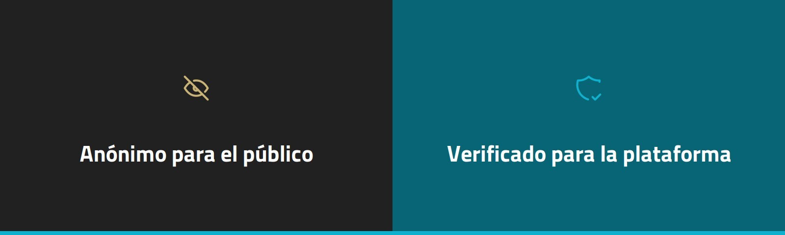 anonimo-verificado-blog